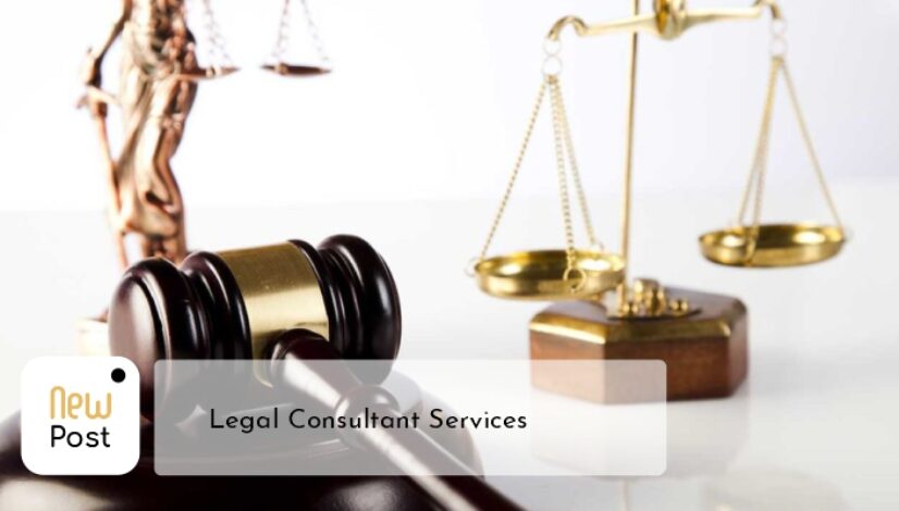 psnplawfirm legal consultant service